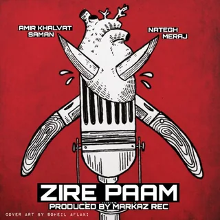 Zire Pam