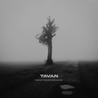 Tavan