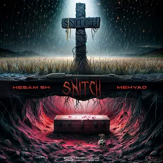 Snitch