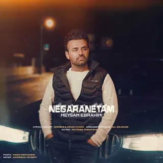 Negaranetam