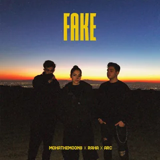 Fake