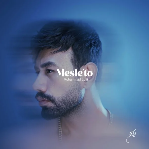 Mesle To