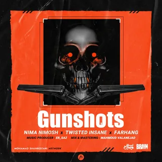 Gunshots