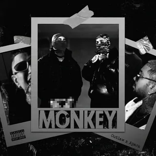 Monkey