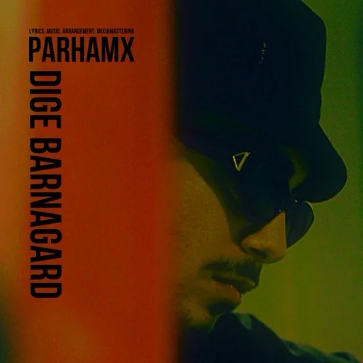 Dige Barnagard Demo