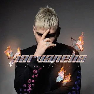 Parvaneha