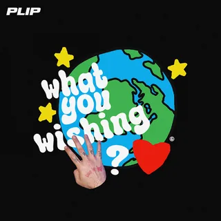 What You Wishing for ?