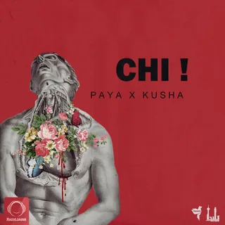 Chi