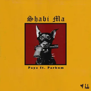 Shabi Ma