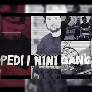Nini Gang