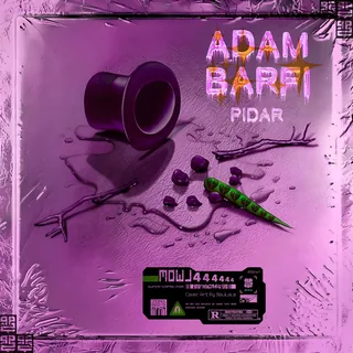 Adam Barfi 2