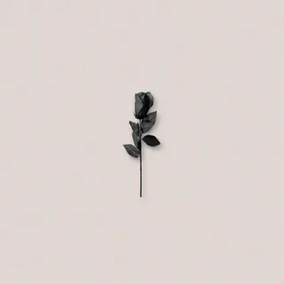 Black Rose