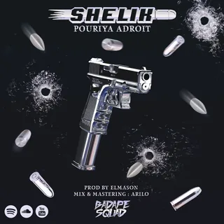 pouriya adroit_shelik