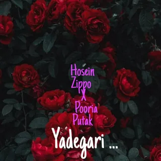 Yadegari 2
