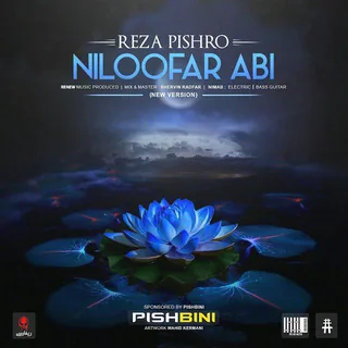 Nilofar Abi