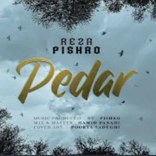 Pedar