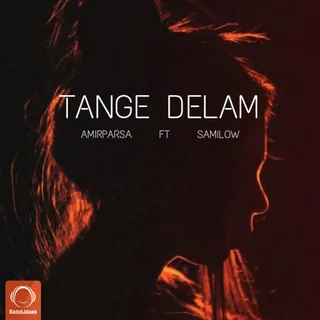 Tange Delam