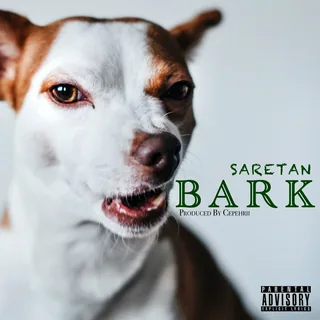 BARK