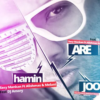 Are Haminjoor