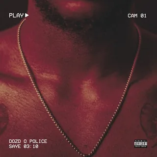 DOZD O POLICE