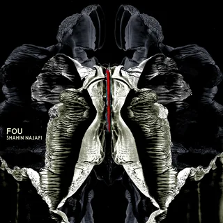Fou (Album Radikal)