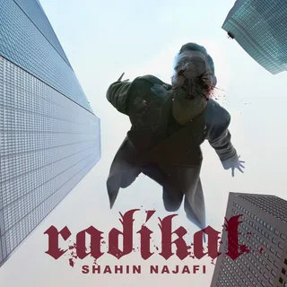 Radikal (Album Radikal)