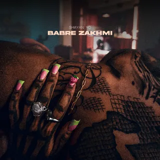 Babr Zakhmi