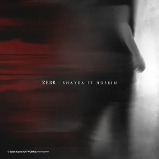 Zebr