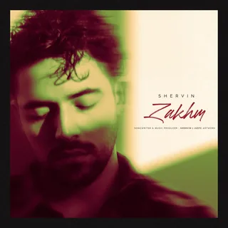 Zakhm Unplugged