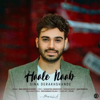 Haale Naab