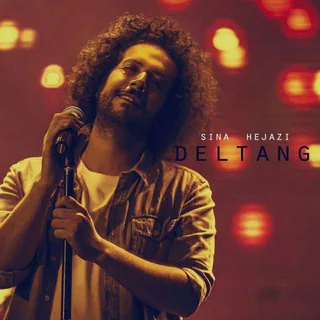 Deltang