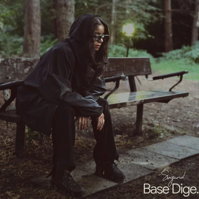 Base Dige