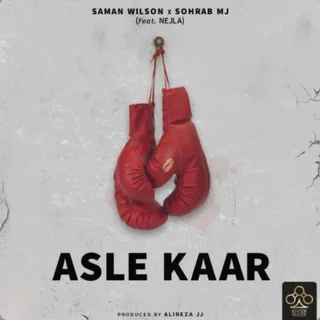 Asle Kaar