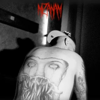 Mizanam