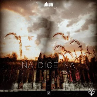 Na Dige Na