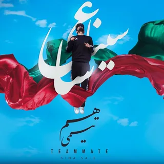 Hamteami Zirzamin