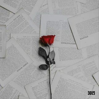 Bad Rose 30Bam Remix