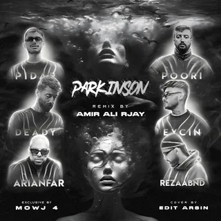 PARKINSON Remix by Amirali Rjay