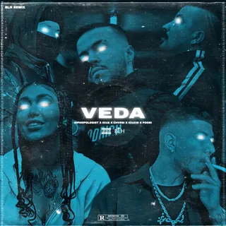 VEDA BLH Remix
