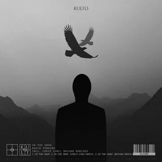 In The Dark Chris Luno Remix