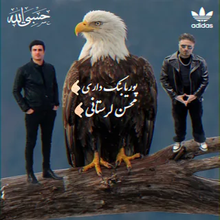 Mohsen Lorestani