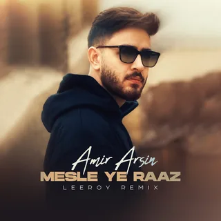 Mesle Ye Raaz LeeRoy Remix