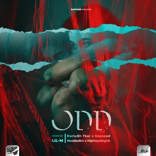 Odd Remix by LiL M