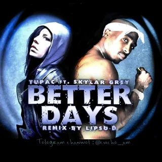 Better Days Words Remix by Lipso D