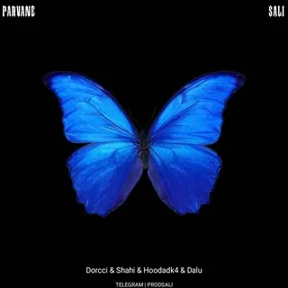 Parvane Remix By SaLi