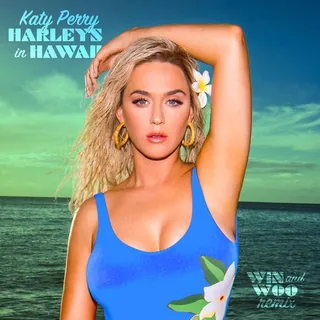 Harleys In Hawaiii Remix
