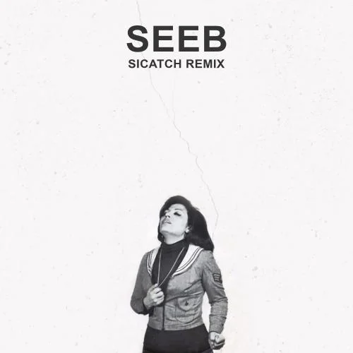 Seeb remix