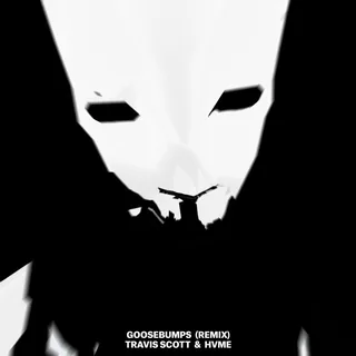 Goosebumps Remix