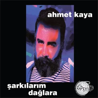Sabir Kalmadi