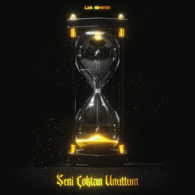 Seni Çoktan Unuttum